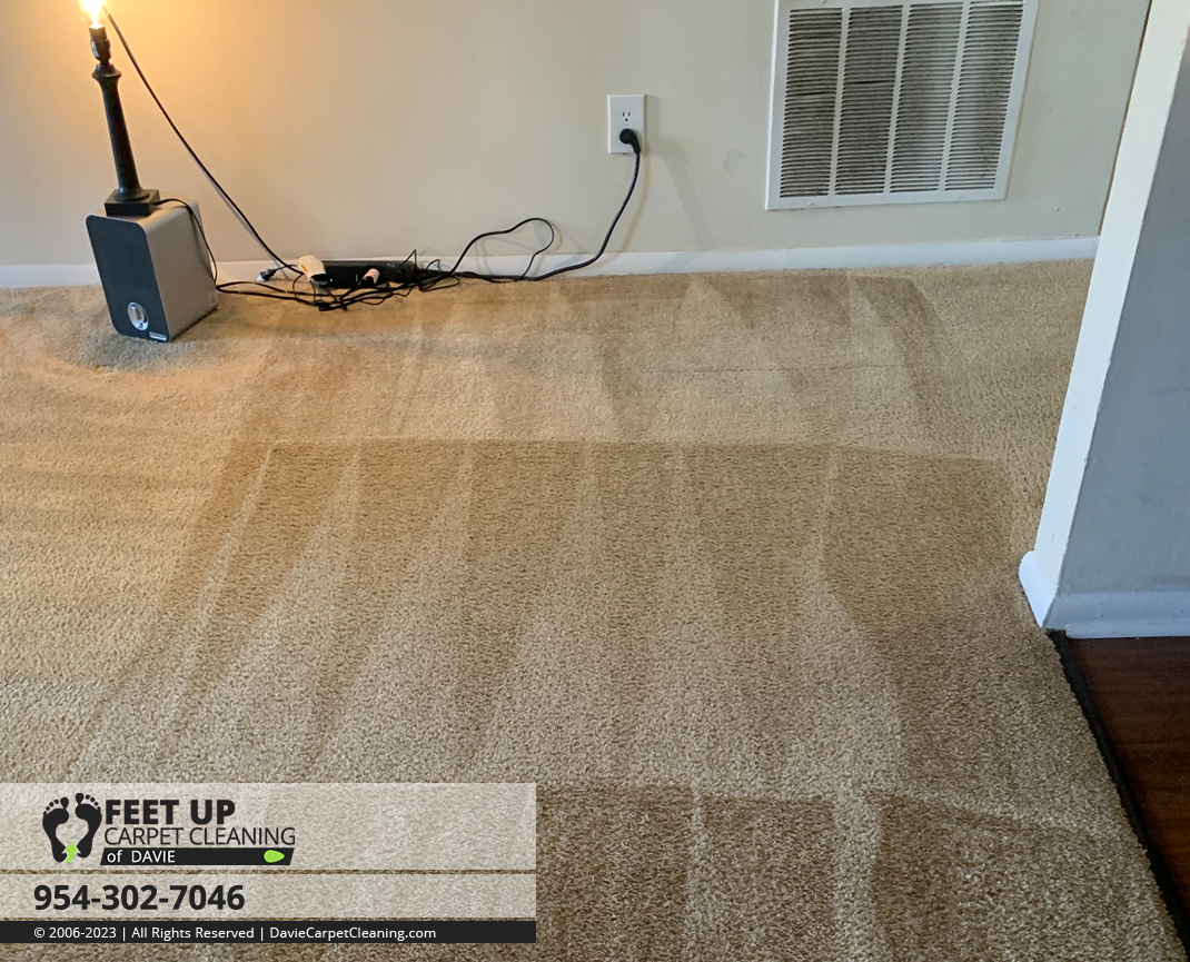 Feet Up Carpet Cleaning of Davie Cleaning Services Davie, Florida